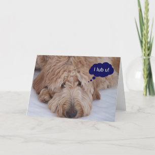 Goldendoodle "je lub u !" Carte