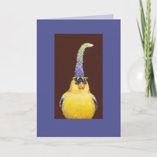 goldfinch avec carte casquette spke speedwell