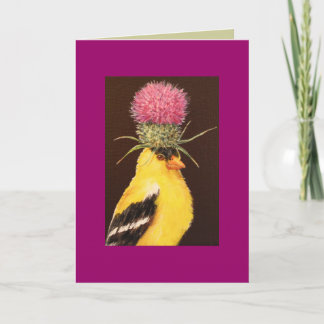 goldfinch avec carte de chardon