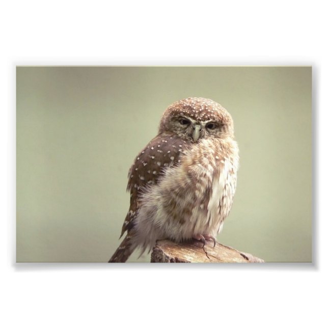 Good Morning to you photo (Devant)