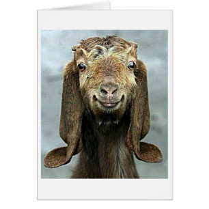 GOOFY GOAT VOUS DIT QUE "50" A L'AIR "BON POUR VOU