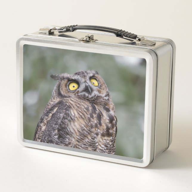 Goofy Owl Metal Lunchbox (Devant)