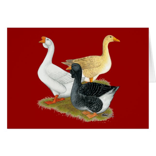 Goose Trio (Devant Horizontal)