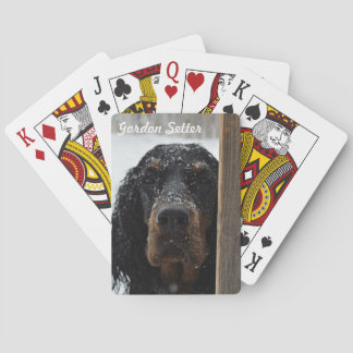 Gordon Setter dans les cartes de jeu en hiver