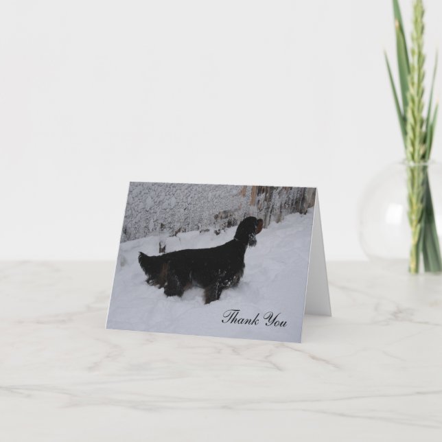 Gordon Setter dans une tempête de neige Merci Note (Devant)