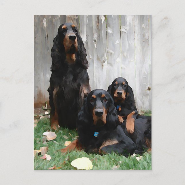 Gordon Setter Generations Peinture Carte postale (Devant)