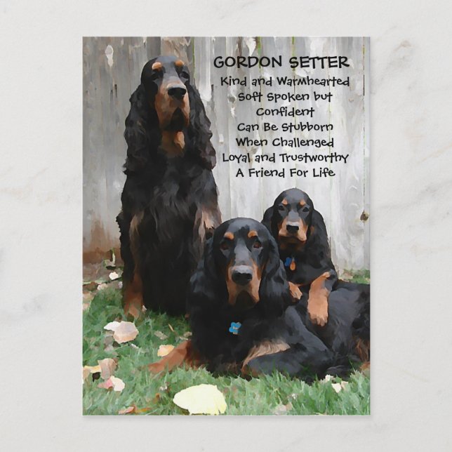 Gordon Setter Generations Peinture Carte postale (Devant)