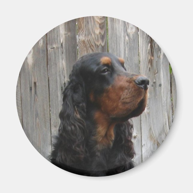 Gordon Setter Magnet (Devant)