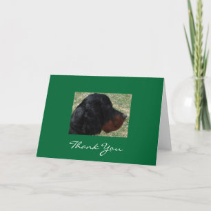 Gordon Setter Puppy Merci Note