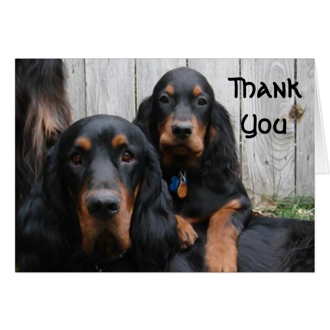 Gordon Setters Merci Carte de note (Devant horizontal)