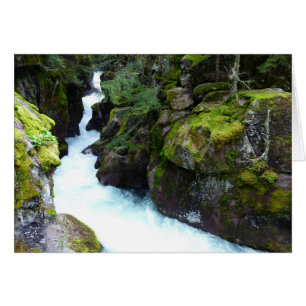 Gorge d'Avalanche I au Glacier National Park