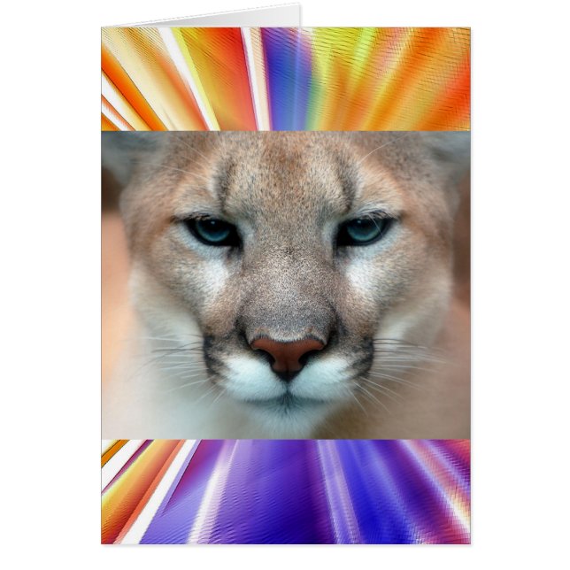 GORGEANT COUGAR (Devant)