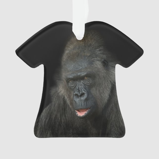 Gorilla Biddy (devant)