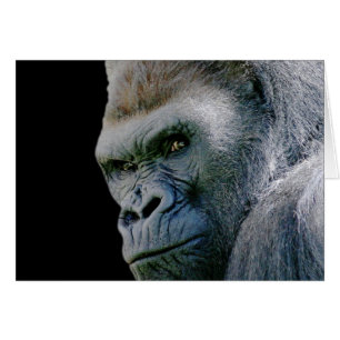 Gorilla en colère