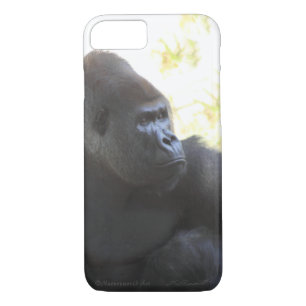 Gorilla Gaze iPhone 7 Coque