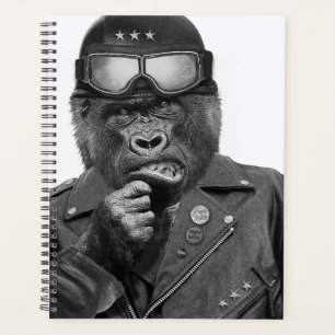 Gorilla Guy