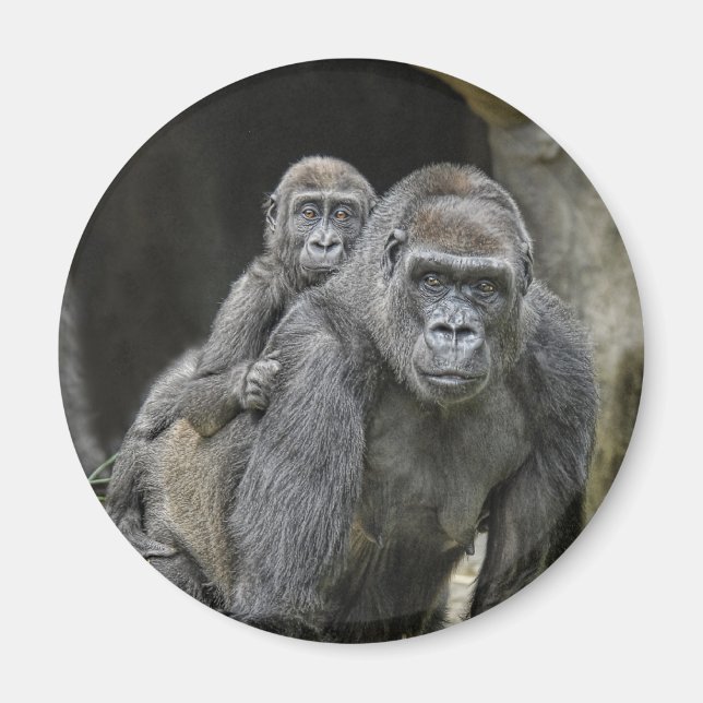 Gorilla & Magnet bébé (Devant)