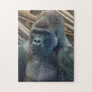 Gorilla près du puzzle