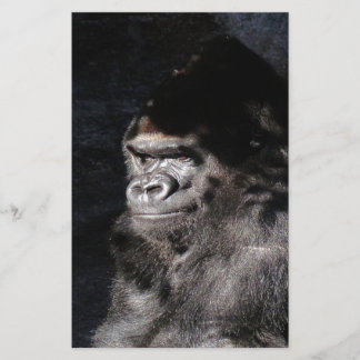 Gorilla réfléchie