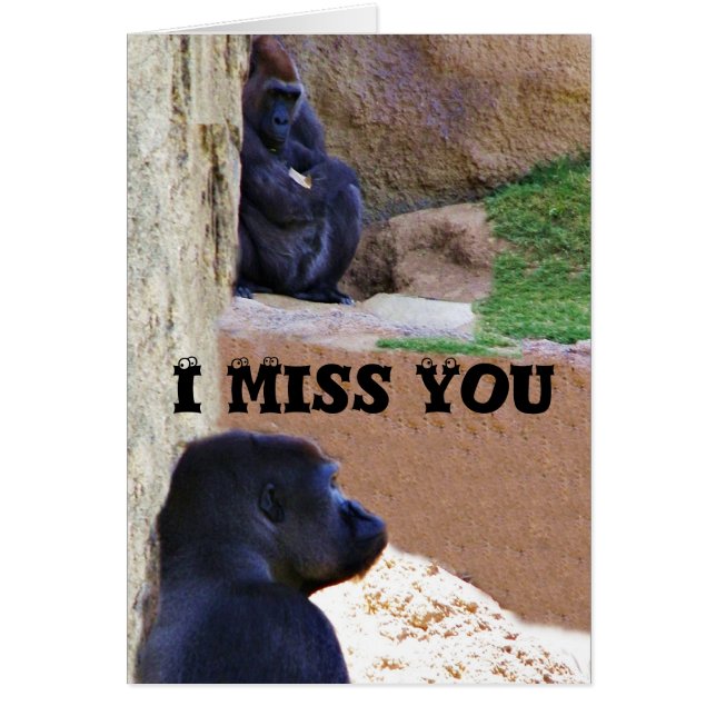 Gorillas_ (Devant)