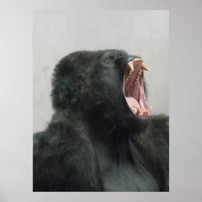 Gorille, Ape, Singe, Animal, Poster du mur de la n (Devant)