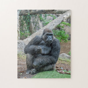 Gorille au puzzle de zoo