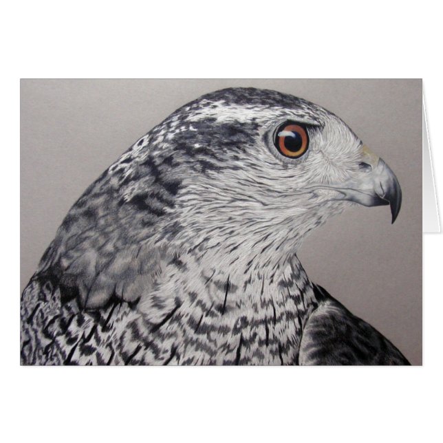 Goshawk du Nord (Devant horizontal)