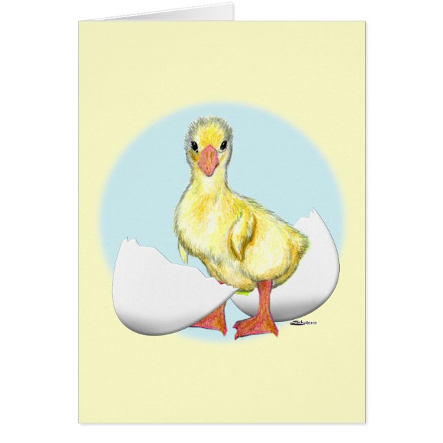 Gosling : Je viens d'éclos (Devant)
