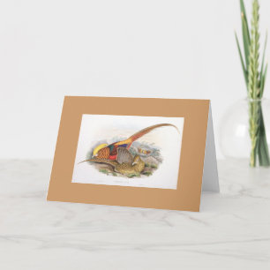 Gould - carte de faisan d'or