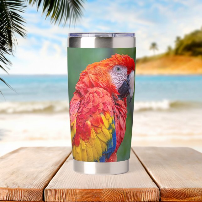 Gourde Isotherme Scarlet Macaw (Plage (pivotée))