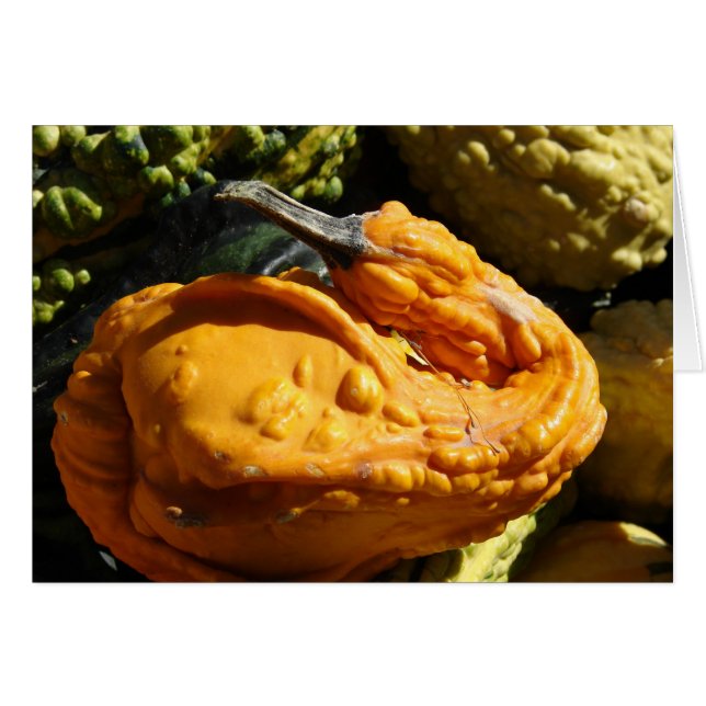 Gourde Qui Ressemble À Un Canard (Devant horizontal)