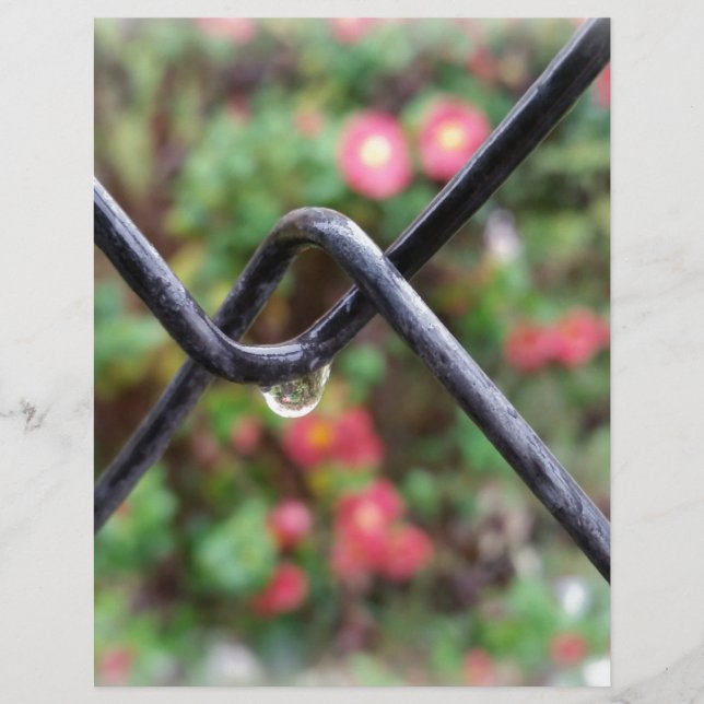 Goutte de pluie (Devant)
