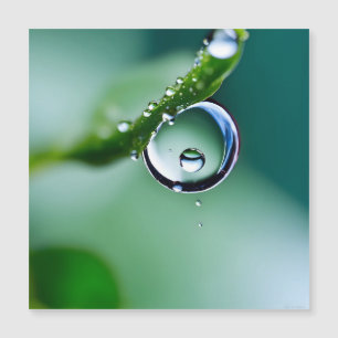 Gouttes d'eau de macro