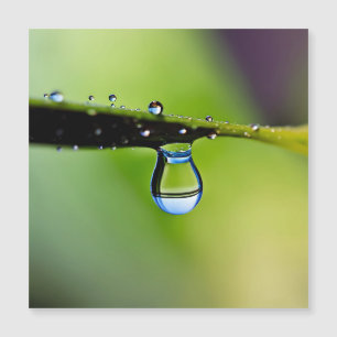 Gouttes d'eau de macro