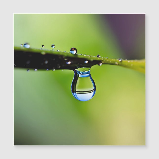 Gouttes d'eau de macro (Devant)