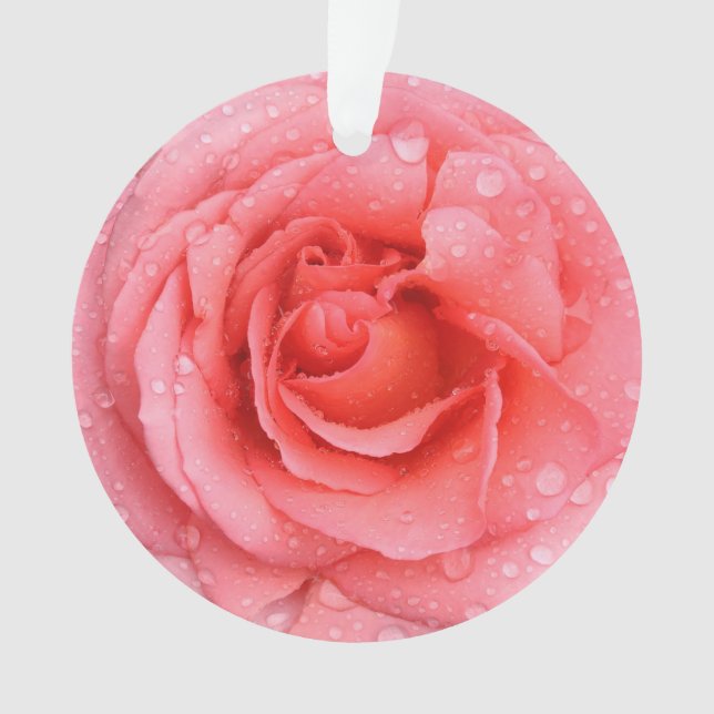Gouttes d'eau de rose rose rouge romantique (devant)
