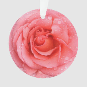 Gouttes d'eau de rose rouge romantique
