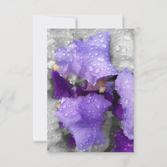 gouttes d'eau sur iris (Devant)