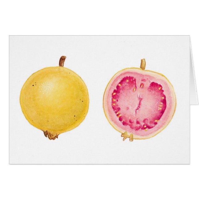 Goyave (Devant horizontal)