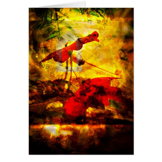 Grâce (Devant)