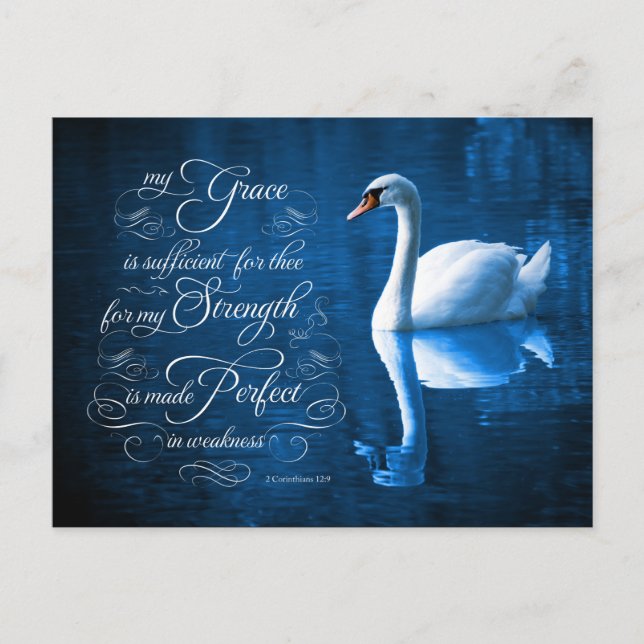 Grace Bible Verse Mute Swan Cartes postales (Devant)