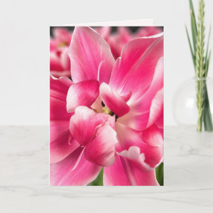 Grâce en chaque saison Carte de vœux pliée Tulip