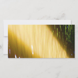 Grace Extraordinaire : Profitez et partagez la joi