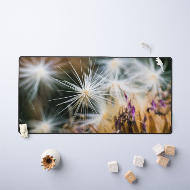 Graines (Tableau pour enfants)