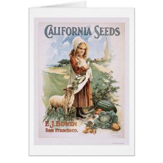 Graines de la Californie