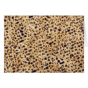 Gramme de Matzah de Shemura