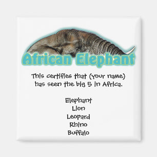 Grand 5 magnets de safari de faune de l'Afrique