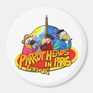 Grand aimant rond PHIP