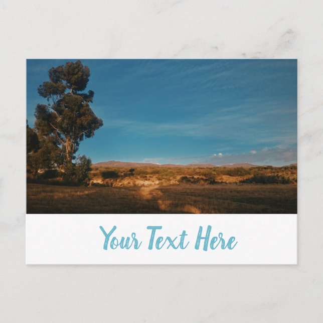 Grand arbre d'eucalyptus Belle carte postale de pa (Devant)