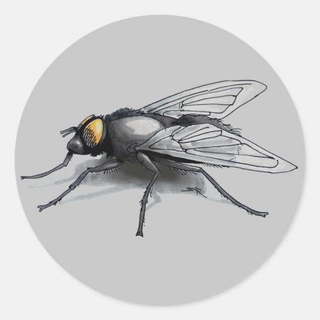 Grand autocollants ronds gris Fly Buddy (Devant)